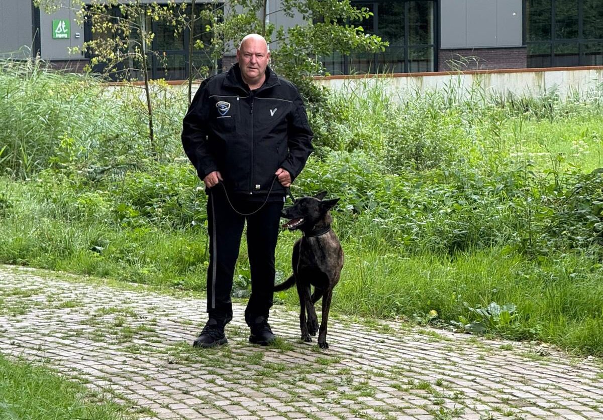 552496618_24938908729070791_2109181941615877015_n 552496618_24938908729070791_2109181941615877015_n